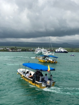 Water taxi to Las Greitas and Angermeyer resort.