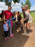 Local family visiting the horses.
